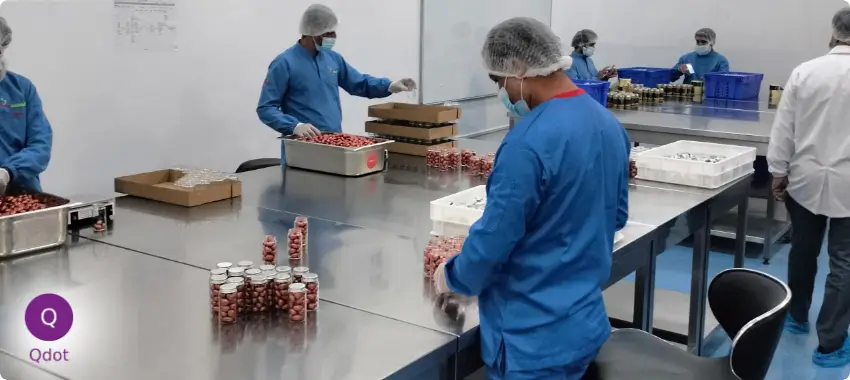 Trusted ISO Certification Consultancy Experts In UAE, Dubai, Abu Dhabi, Sharjah